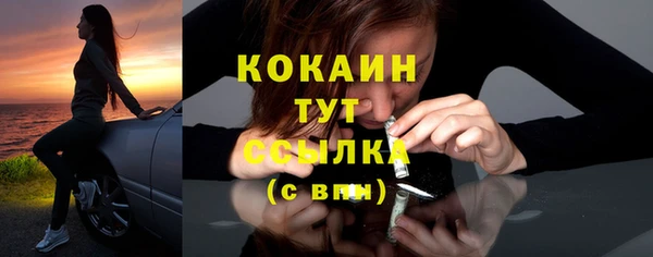 мескалин Арсеньев