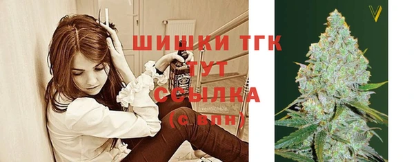 гидра Баксан