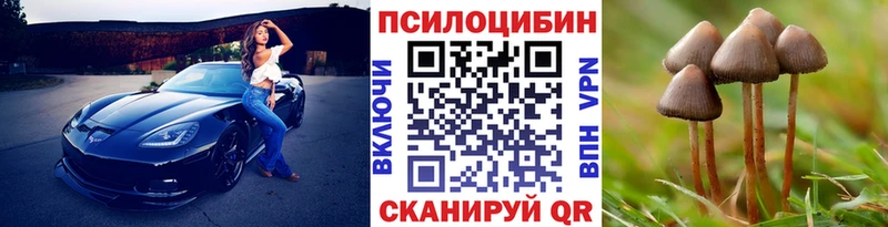 Псилоцибиновые грибы прущие грибы  МЕГА ссылки  Устюжна 