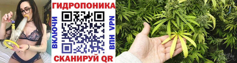 хочу   Устюжна  блэк спрут как зайти  Бошки Шишки сатива 